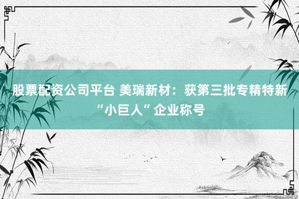 股票配资公司平台 美瑞新材：获第三批专精特新“小巨人”企业称号