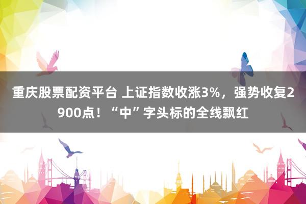 重庆股票配资平台 上证指数收涨3%，强势收复2900点！“中”字头标的全线飘红