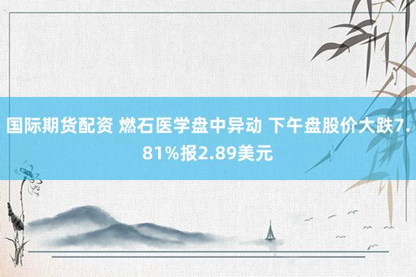 国际期货配资 燃石医学盘中异动 下午盘股价大跌7.81%报2.89美元