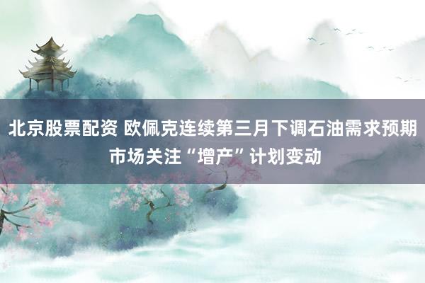 北京股票配资 欧佩克连续第三月下调石油需求预期 市场关注“增产”计划变动