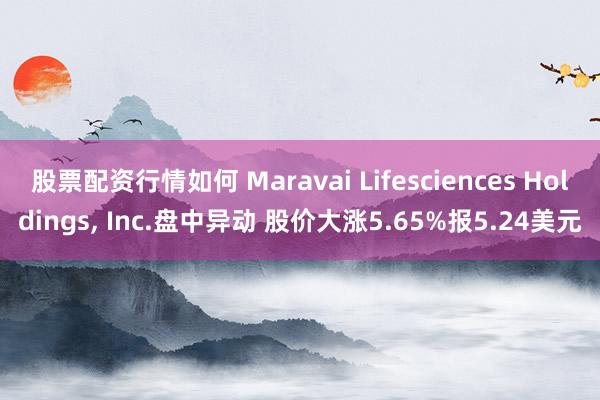 股票配资行情如何 Maravai Lifesciences Holdings, Inc.盘中异动 股价大涨5.65%报5.24美元