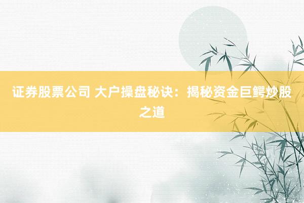 证券股票公司 大户操盘秘诀：揭秘资金巨鳄炒股之道